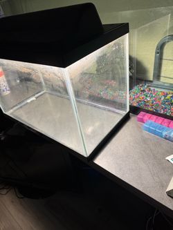 10 gallon fish tank