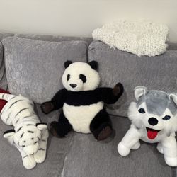 Stuffed Animals