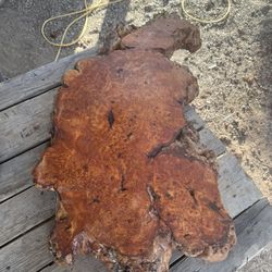 Maple Burl