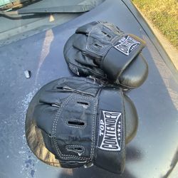 Focus Mitts For Boxing