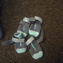 Size 5 Dog Shoes