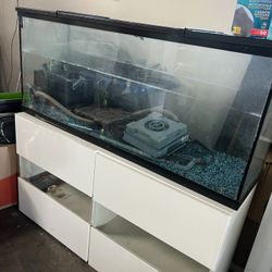 60 Gallon Turtle Tank With Stand Rocks & Filter