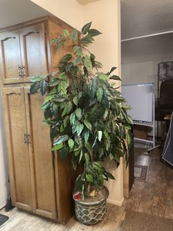 Artificial Weeping Fig Tree