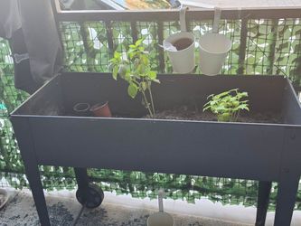 Raised Garden Bed Planter with Legs