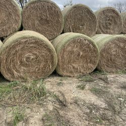 Pacas  4x5 Bahía para vaca