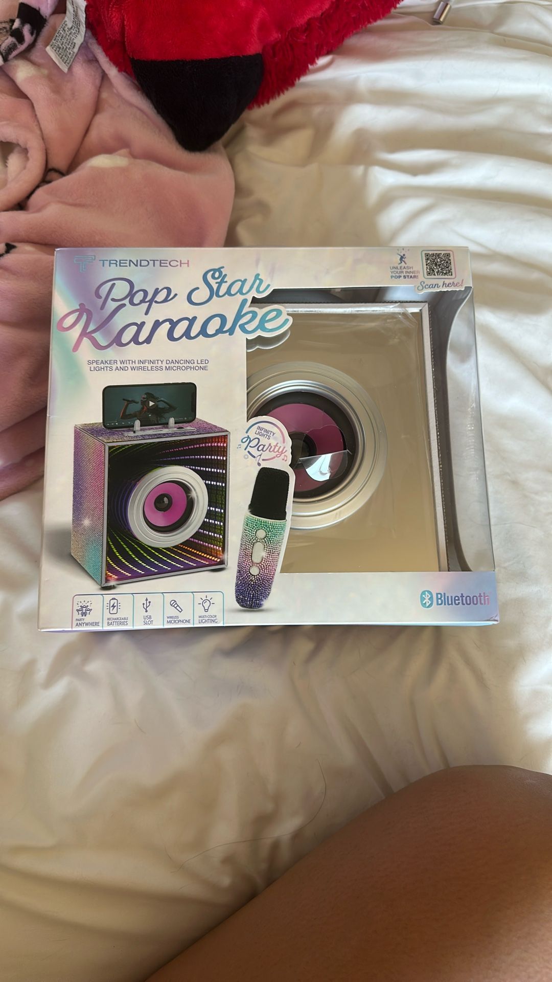 Karaoke speaker and microphone