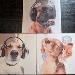 Canvas Art Puppies