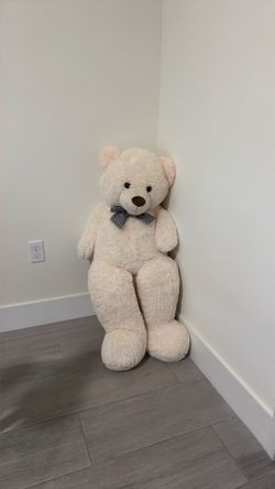 Big teddy bear