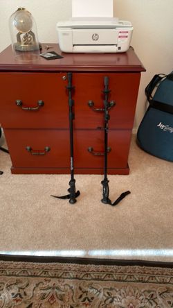 Walking sticks
