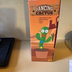 Dancing Cactus 