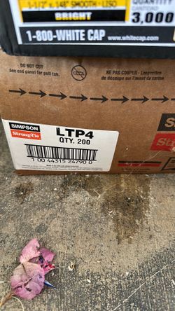 LTP4