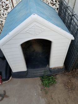 Cute Dog House