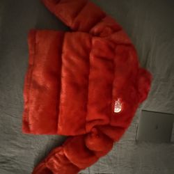 Supreme X North face 