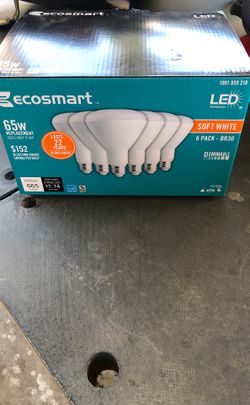 Ecosmart Light bulbs