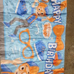 Blippi Backdrop 