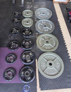 Weight Plates (295lbs)
