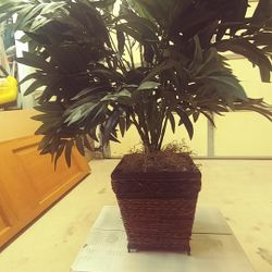 Beautiful Indoor Artificial Plant With Brown Basket Like Vase