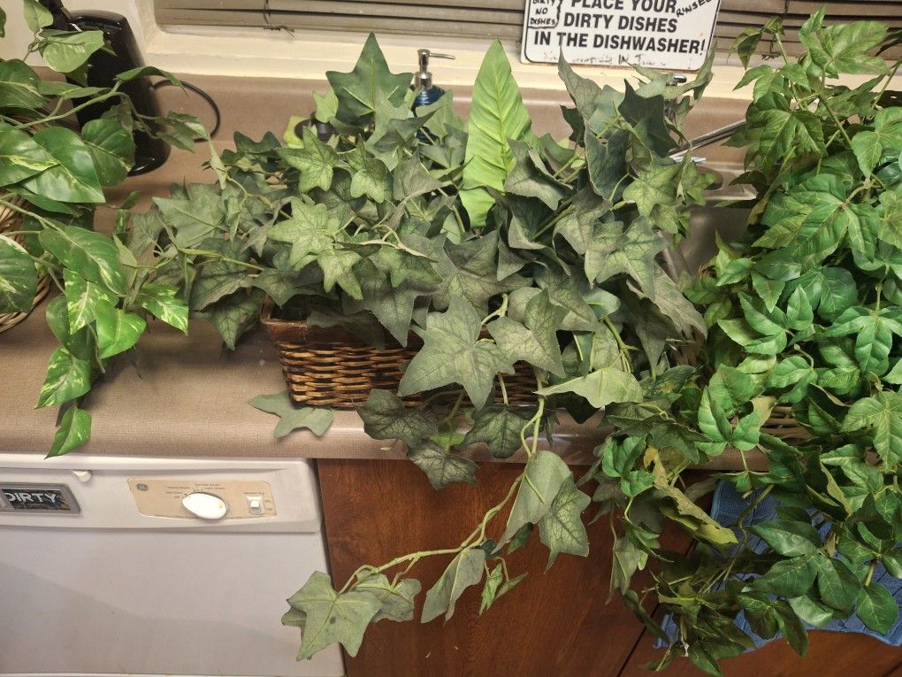 2 faux ivy plants $10ea