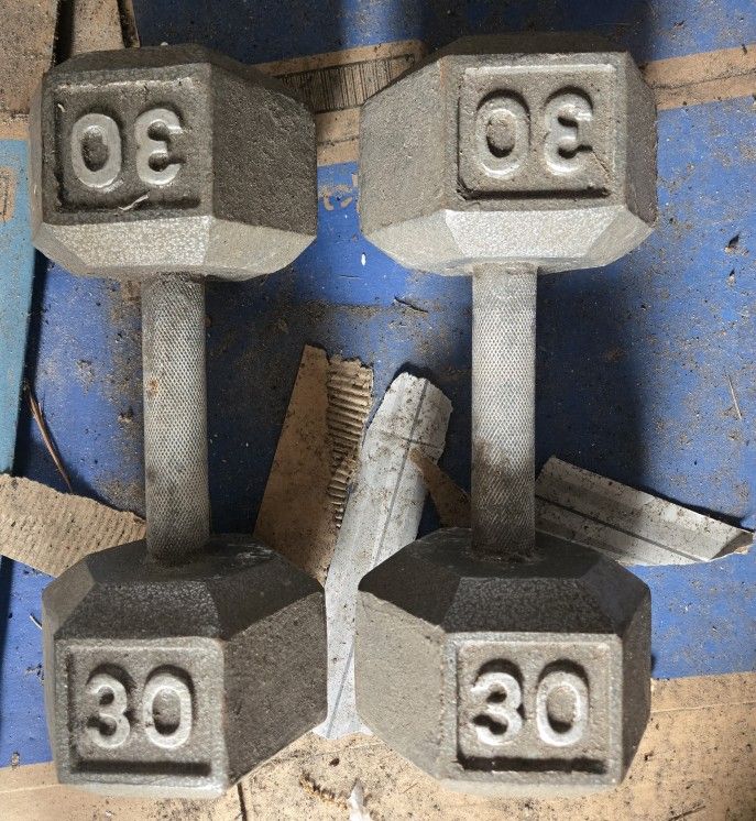 Dumbbells- Exercise - 30 Pounds
