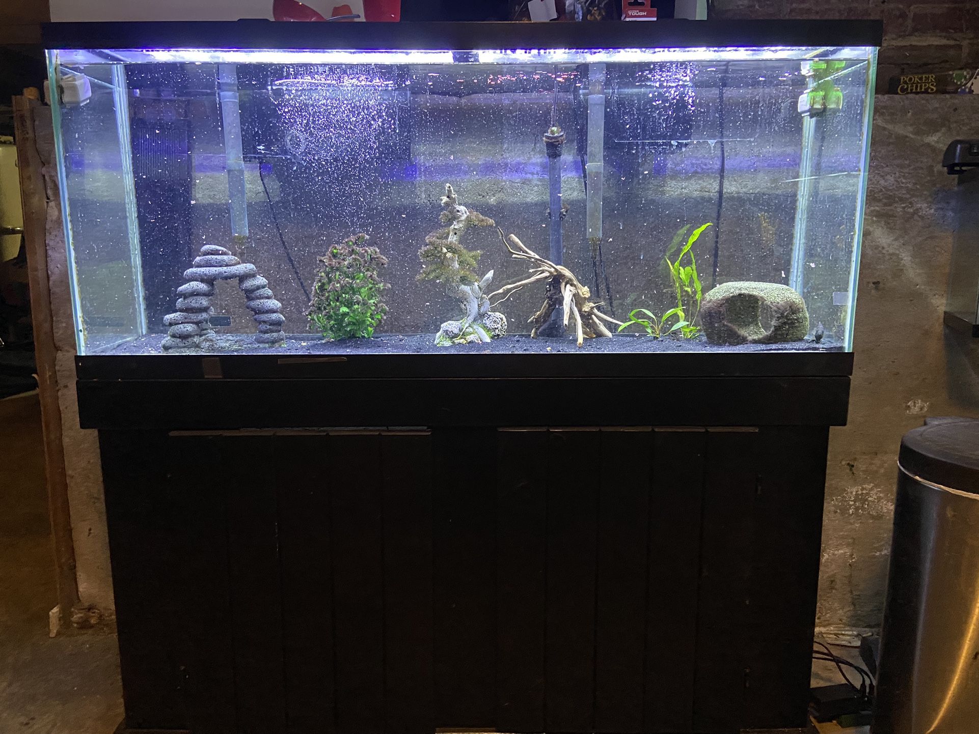 55 Gallon Fish Tank With Stand