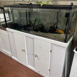 55 Gallon Fish Tank With Filter 