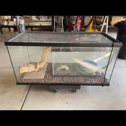 40 Gal Reptile Tank