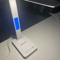 Light With Phone Charger