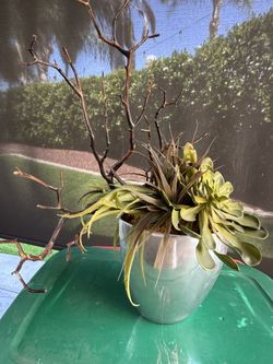 Gorgeous And Realistic, Succulent Arrangement