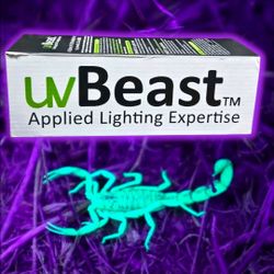 V3 385-395nm Black Light UV Flashlight - High Power Upgraded Triple Broad Band