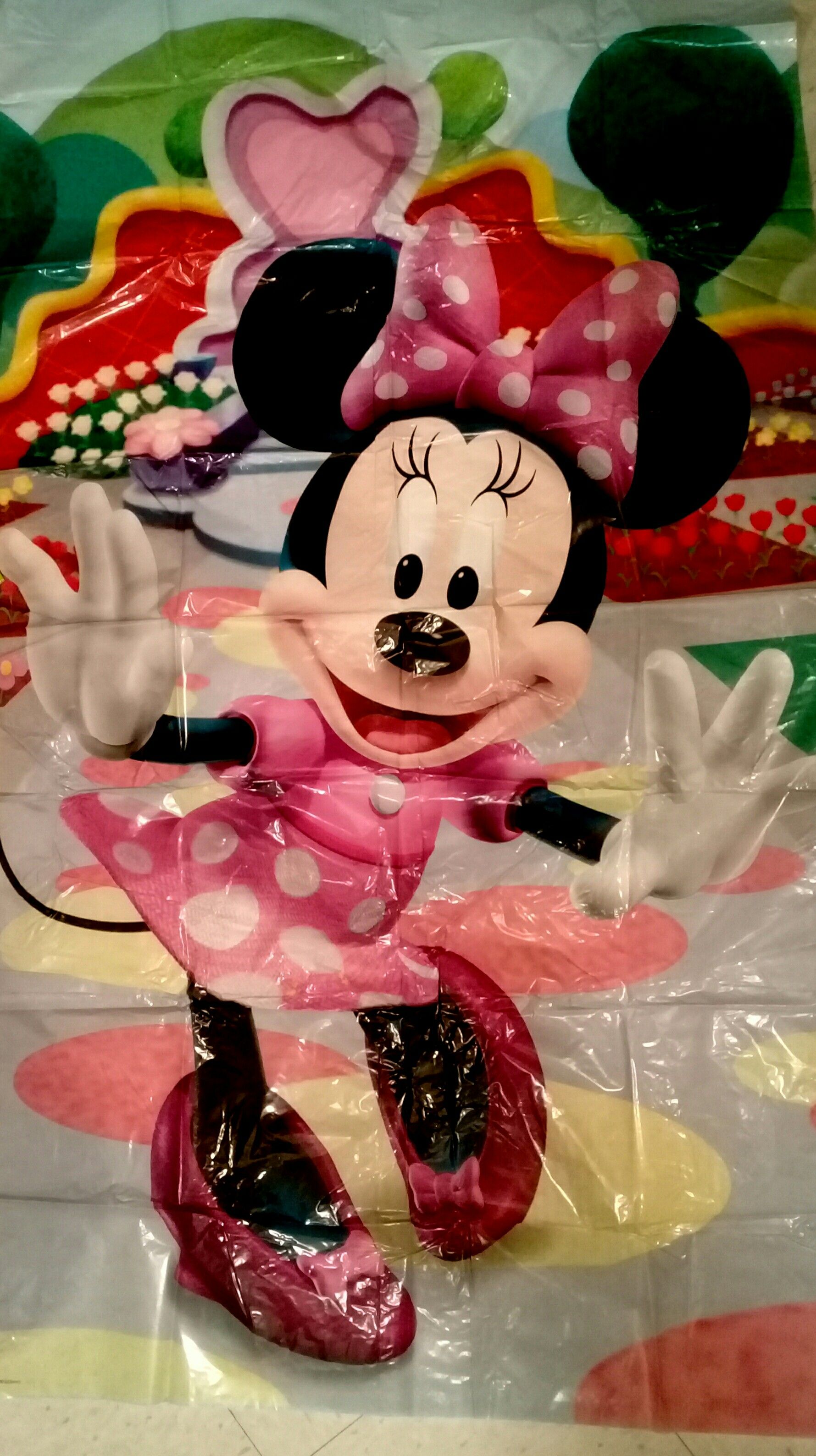 MINNIE PARTY DECORATIONS