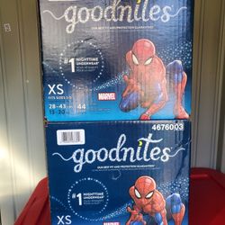 Goodnite Diapers Bundle 