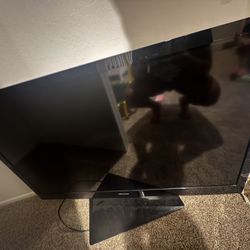 Hisense Tv