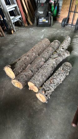 Logs