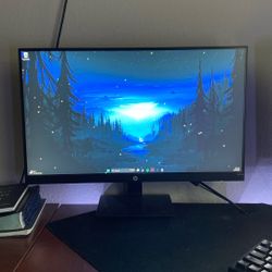 HP Monitor