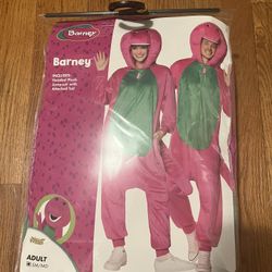 Barney Adult Costume