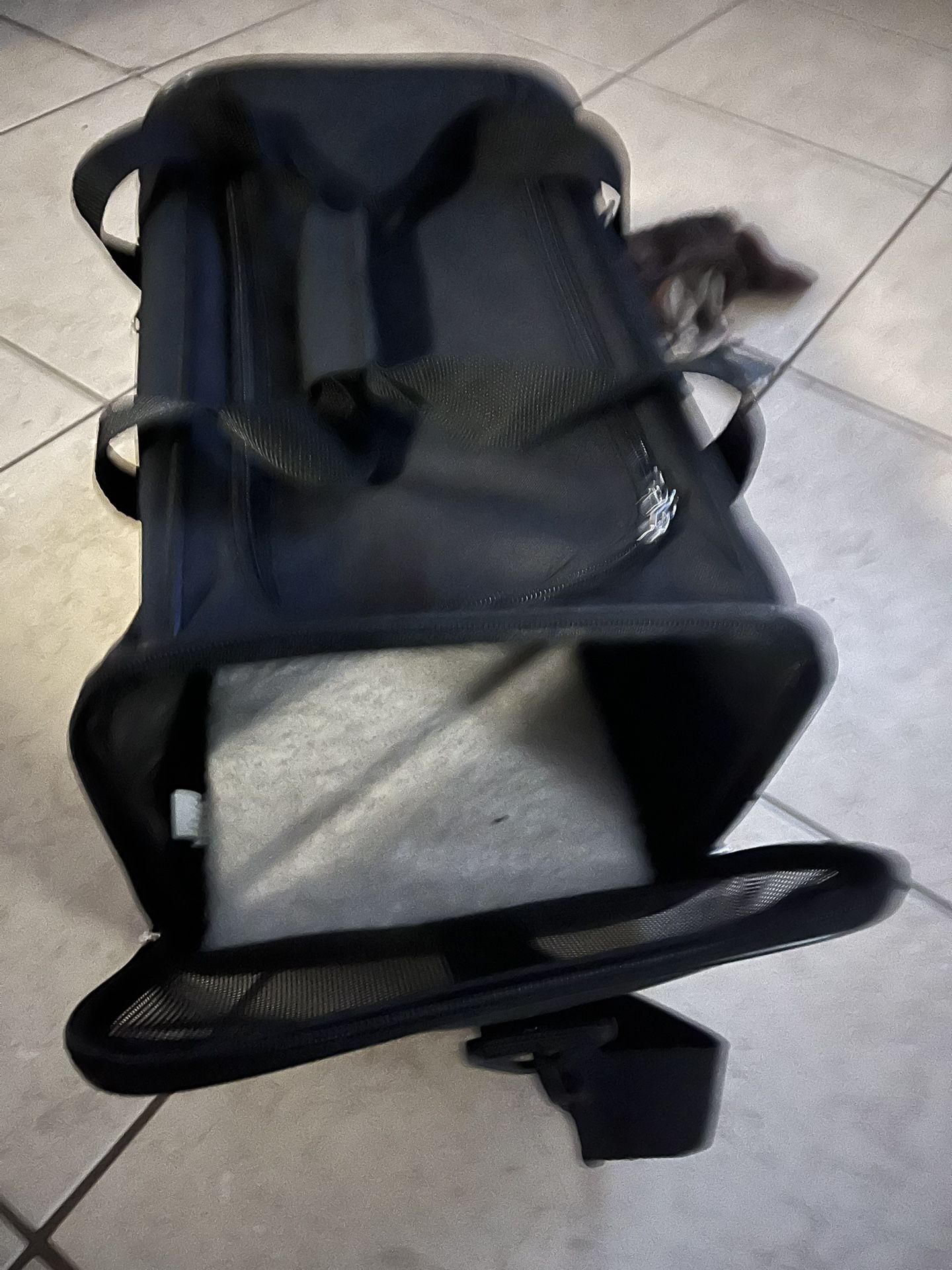 Dog Carrier