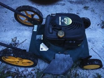 22" Craftsman 6 hp 45$