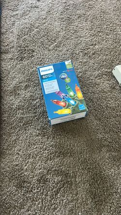 60 Mini Christmas Lights