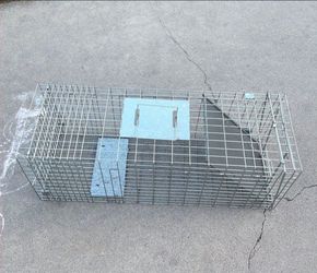 Animal Trap