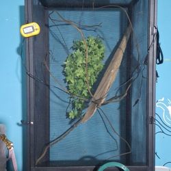 Iguana Cage And Rabbit Cage