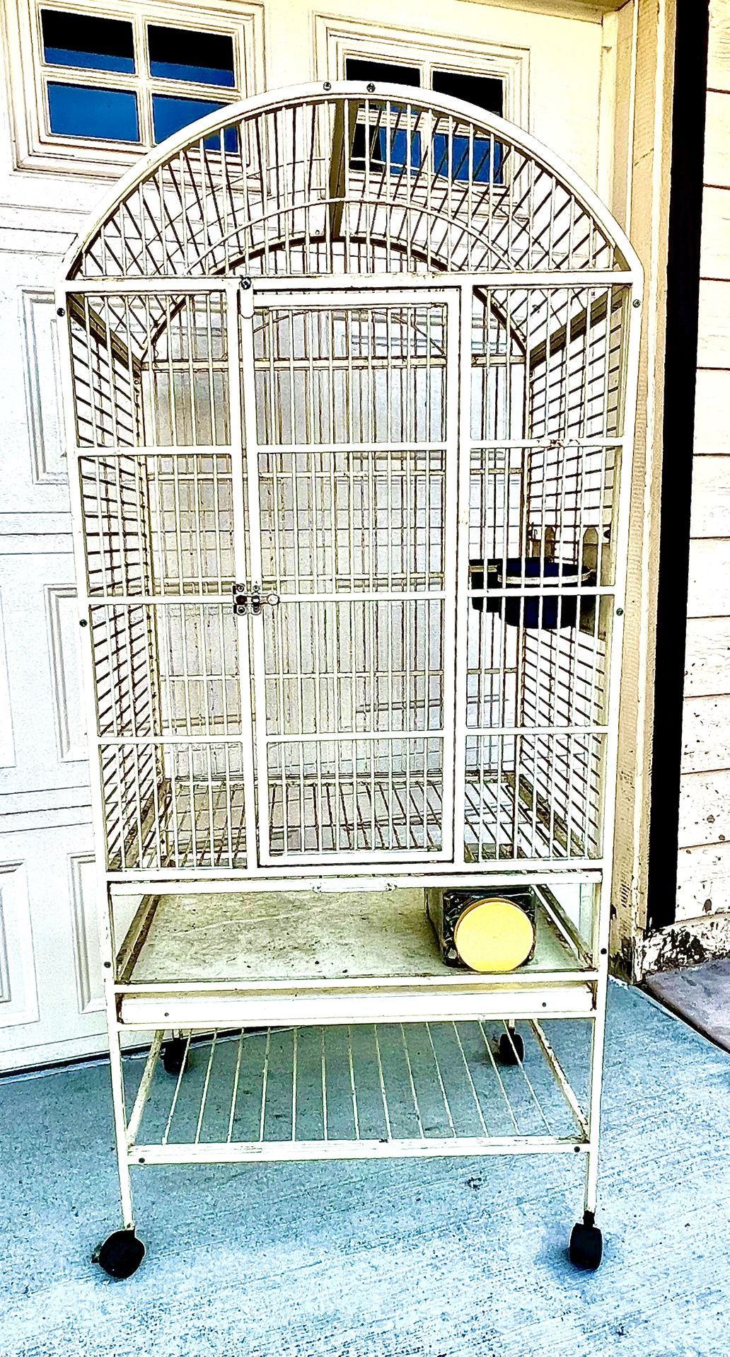 Bird Cage