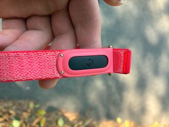 Fitbit air