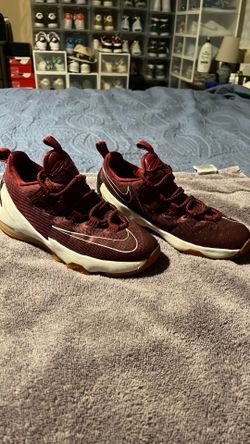 Nike Lebrons