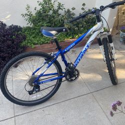 Giant rincon mountain Bike