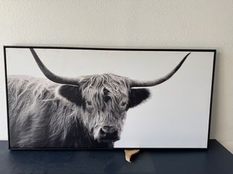 Highland Cow Canvas Wall Art Black Frame