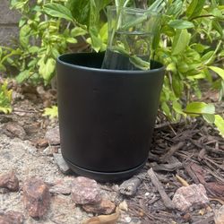 Cute Black Ceramic Pot for Plants 🪴💚💕💙