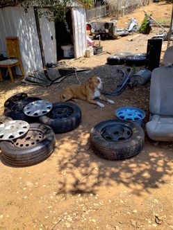Free civic parts