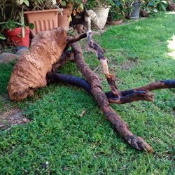 4 Pieces Of Natural Driftwood 