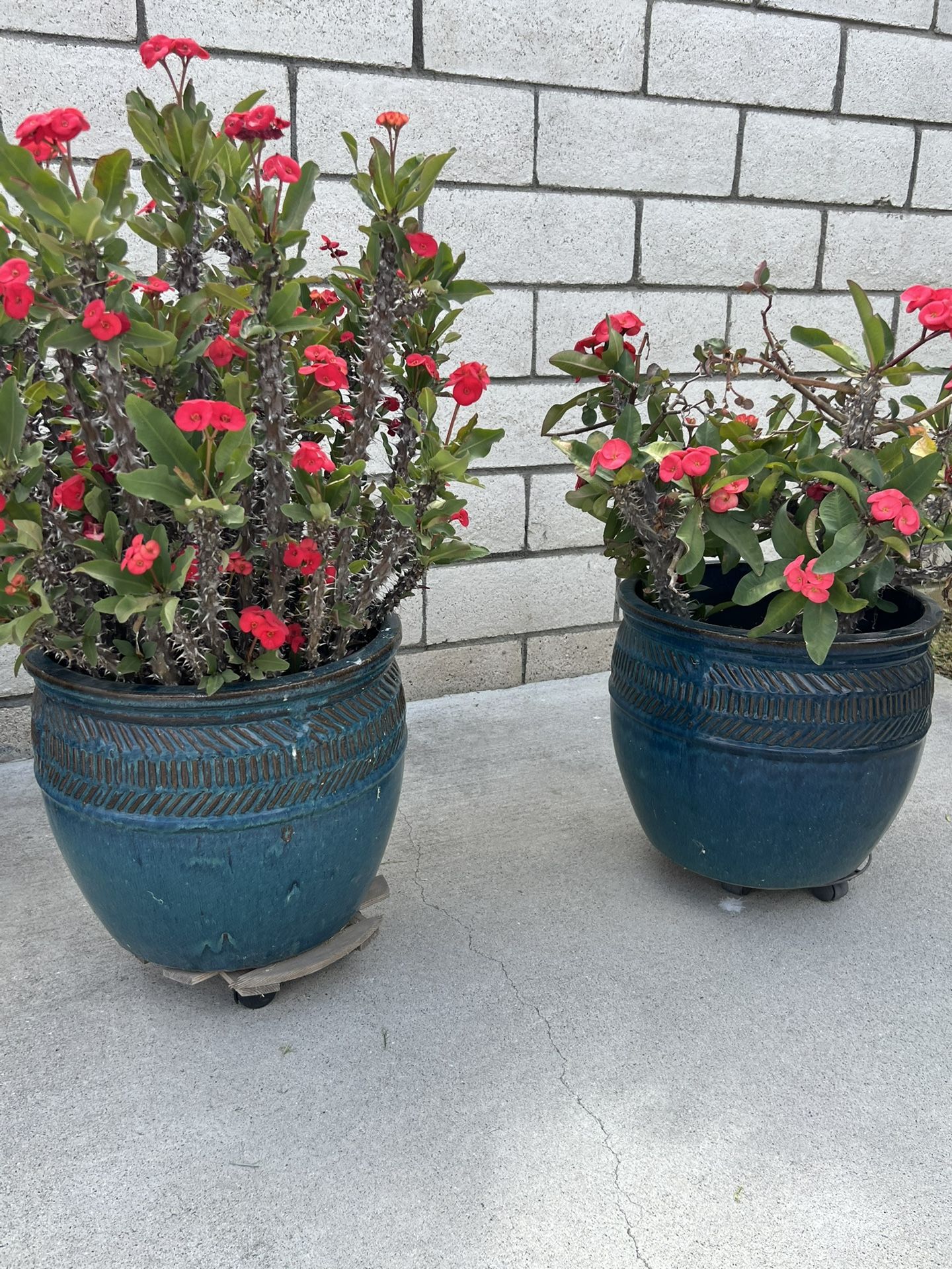 2 Vase Pot With Flowers