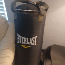 Everlast Punching Bag Station $150 OBO